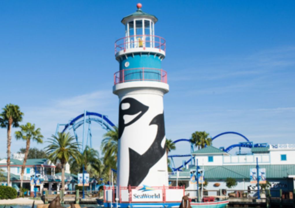 Affordable Family Fun Seaworld Orlando Discovery Cove Tickets